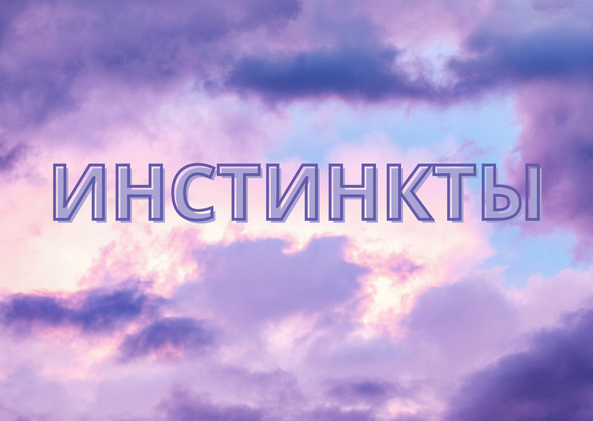 Инстинкты