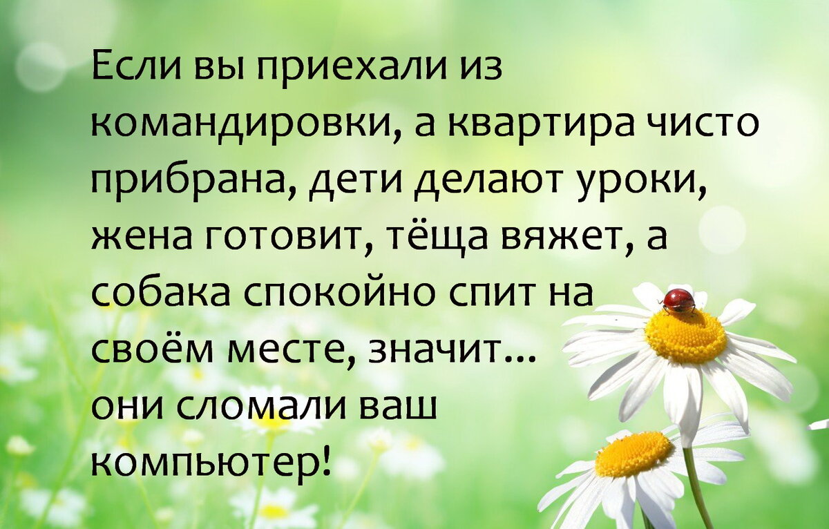 Что будет, если много спать, вреден ли долгий сон для организма человека, чем это плохо - Чемпионат