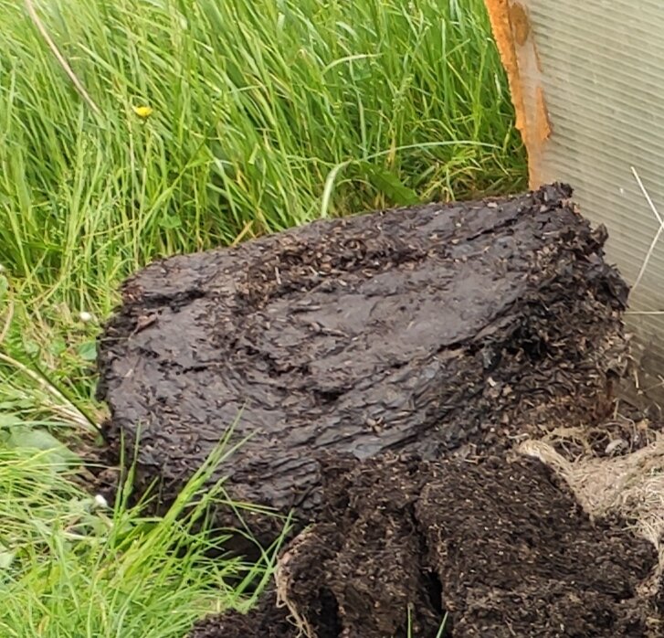 Черное золото