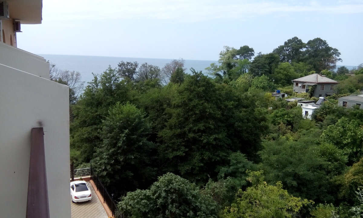 Вид с моего балкона