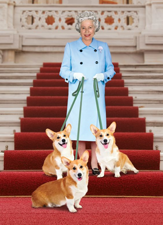 Королевская порода собак