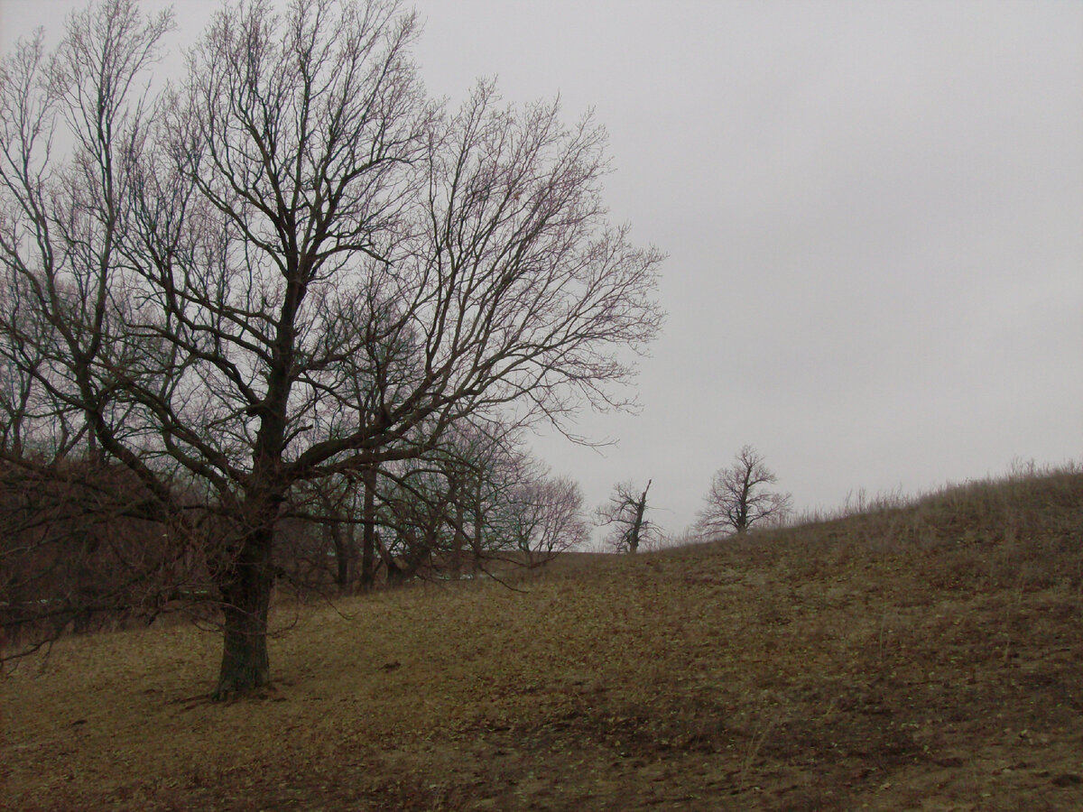 Фото мое. Для оформления.