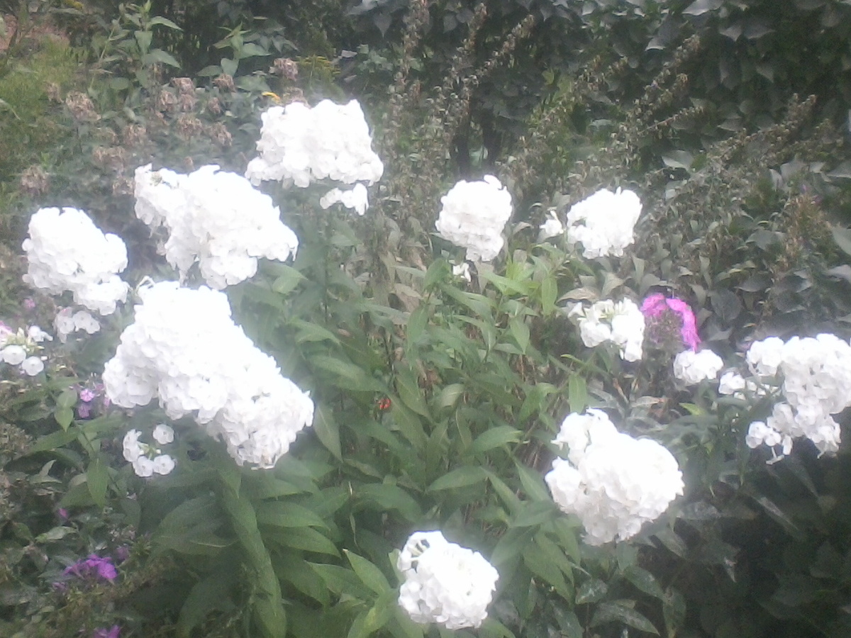 фото из личного архива