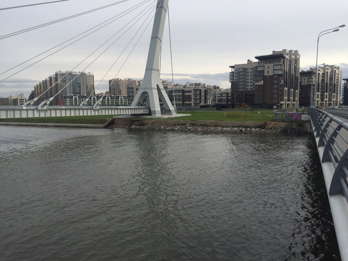 Вид на левый берег. Май 2020 года. Фото автора.