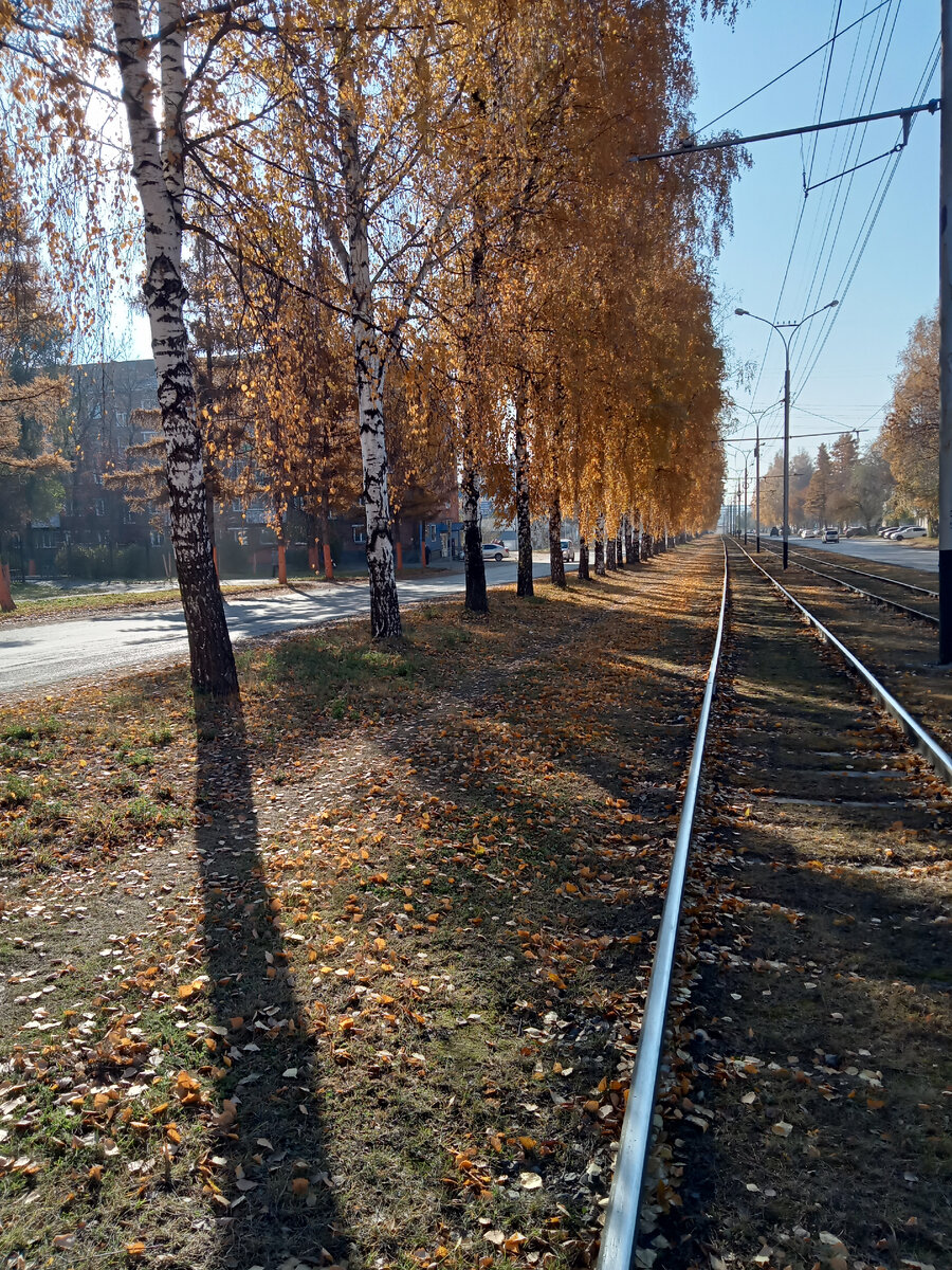 Наша осень. Легкая дымка -не качество фото. Такой  у нас воздух с примесями