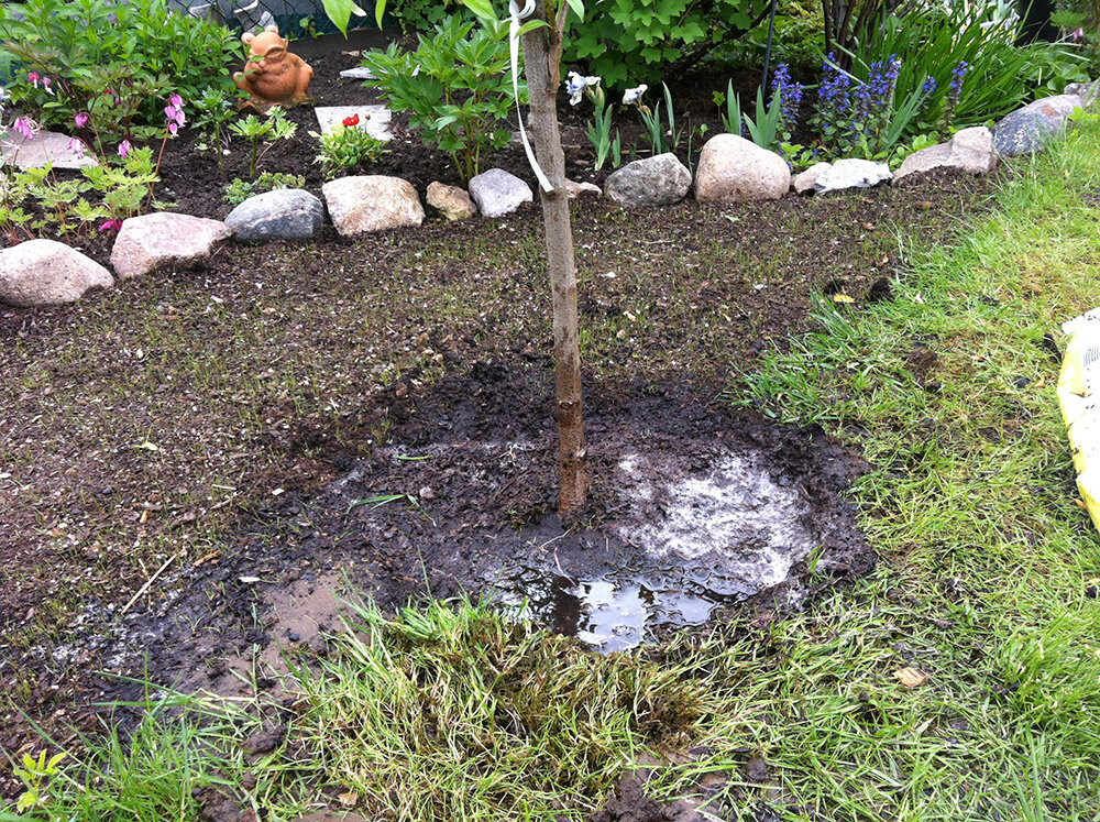 источник: sveklon.ru