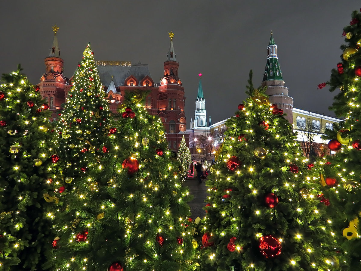 новогодние елки в москве на площадях