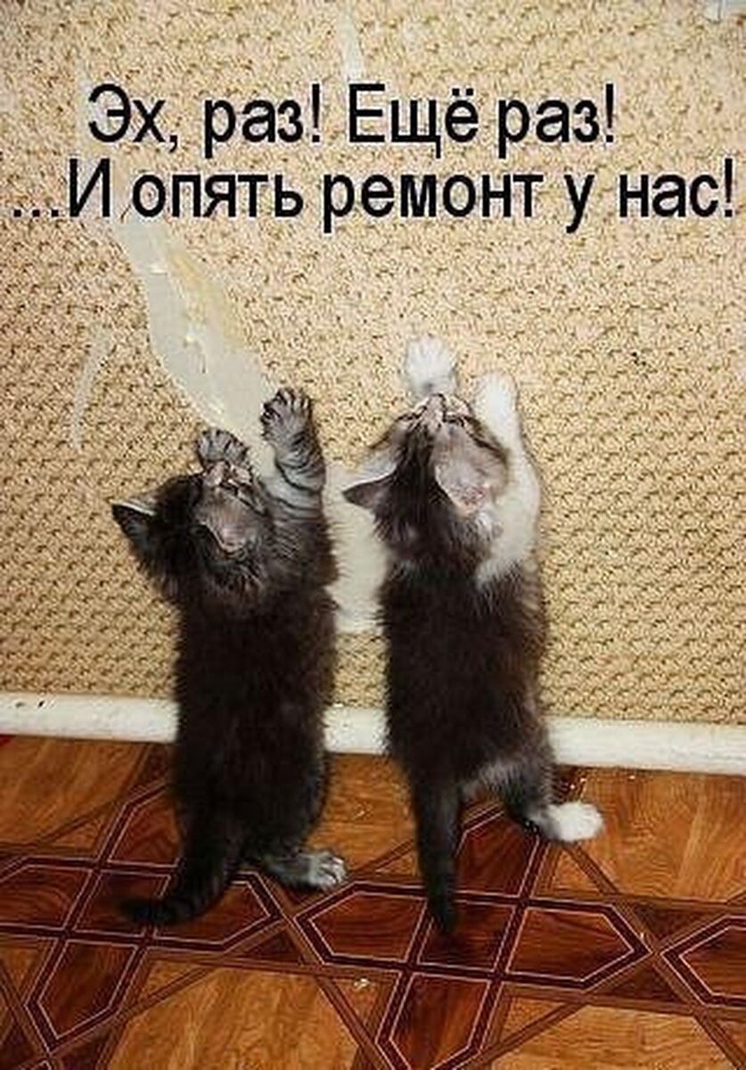 Из интернета