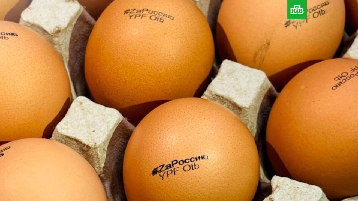 Яндекс картинки