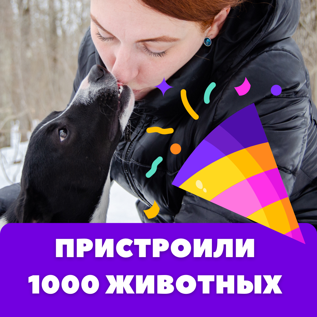 фото: приют Ключ добра