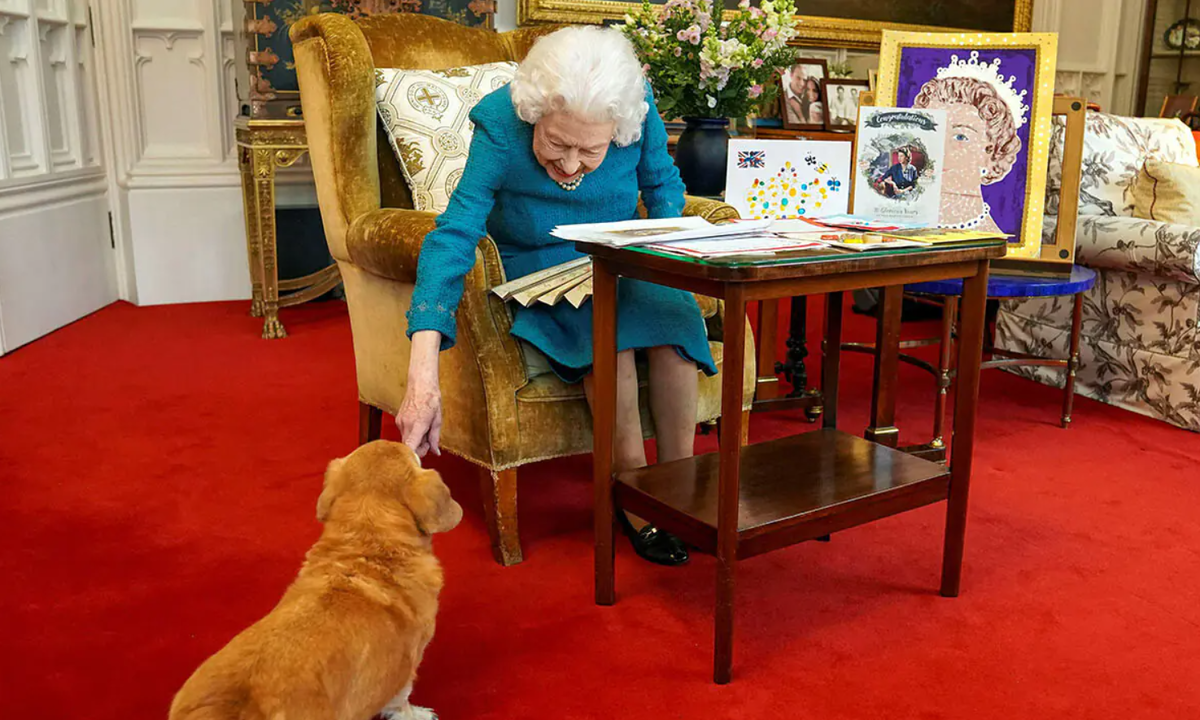 Cкриншот с сайта https://www.hellomagazine.com/royalty/20220418137808/the-queen-pet-corgis-were-a-godsend/?dicbo=v2-d30e8ea65ea64cc8d3e01097c3f7ef1b 