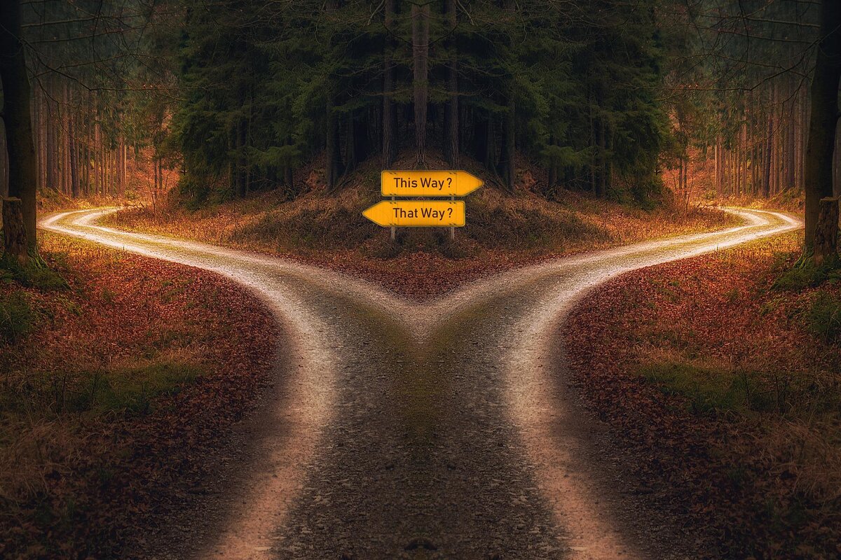 Картинка взята с сайта Pixabay