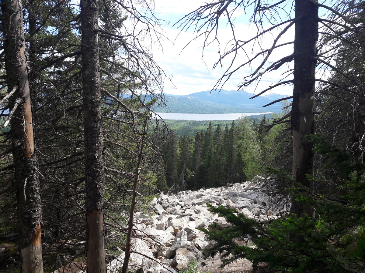 Дорогая на вершину, если обернуться