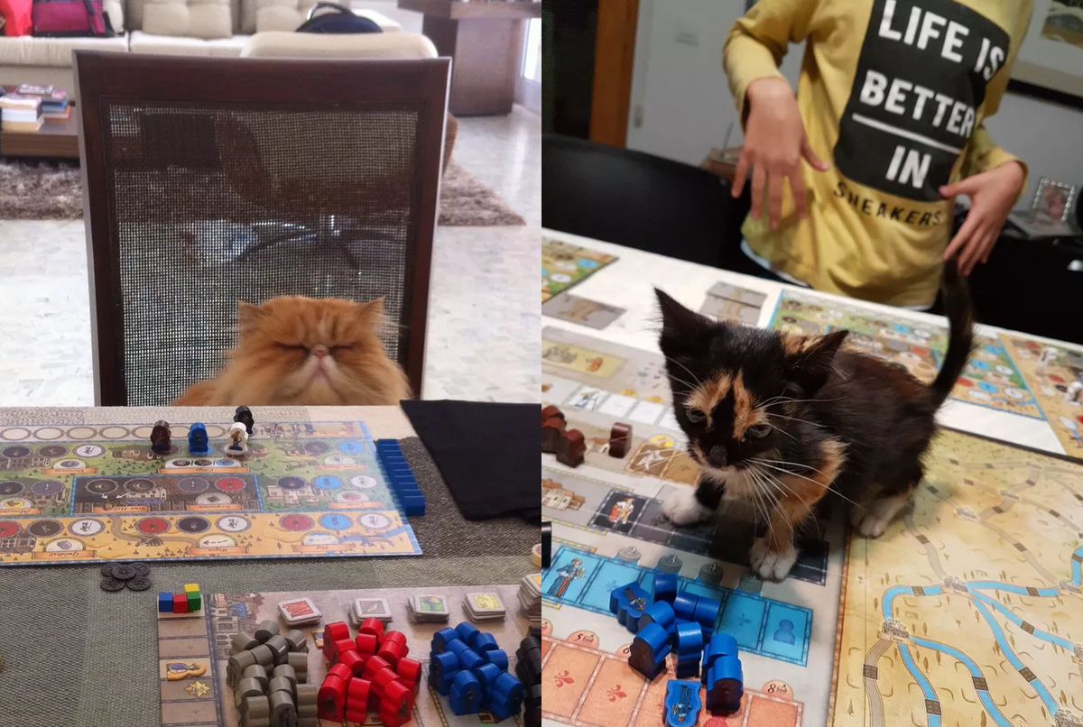 Ну чего ты носик повесил, котеночек