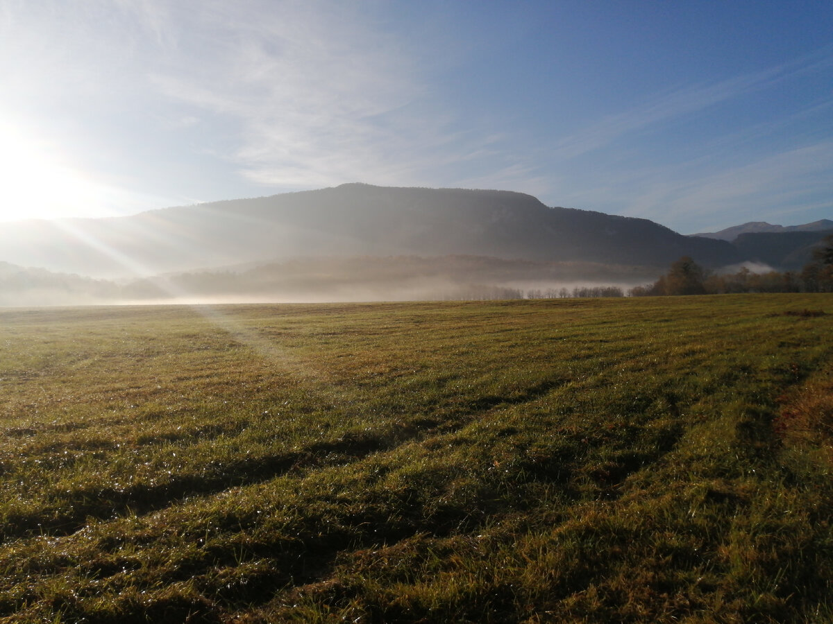 44.24844407217686, 39.91113072050209