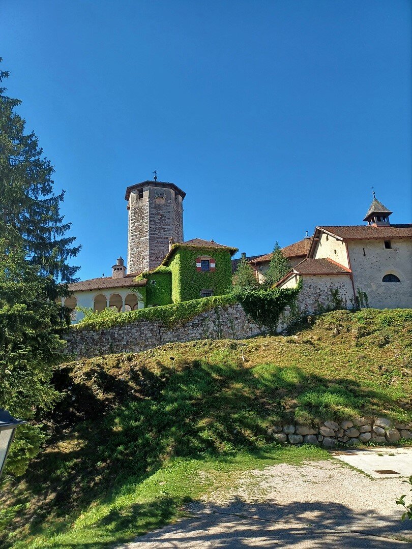 все увито плющем