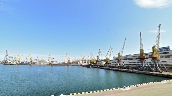   © РИА Новости . Денис Петров