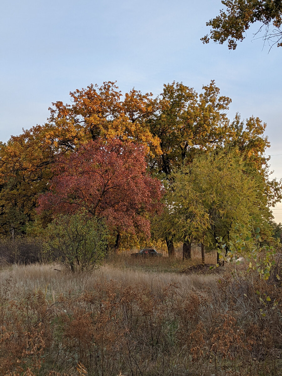 Прогулки на природе