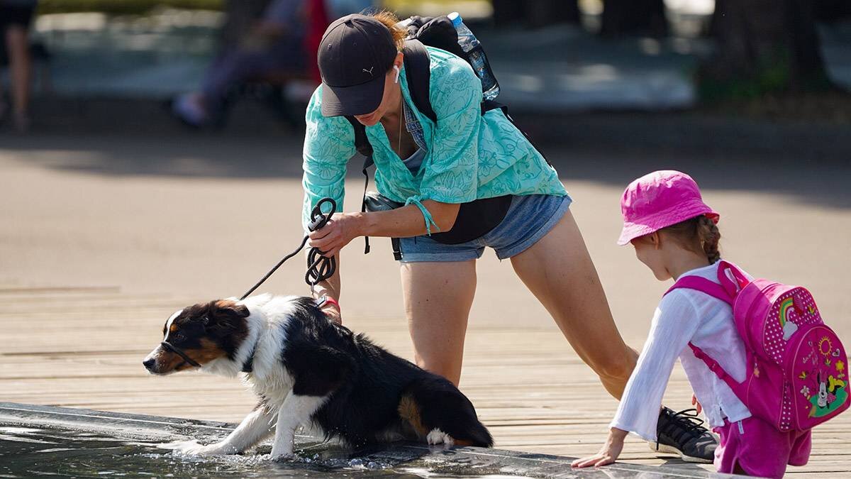    Фото: Пелагия Тихонова / АГН Москва