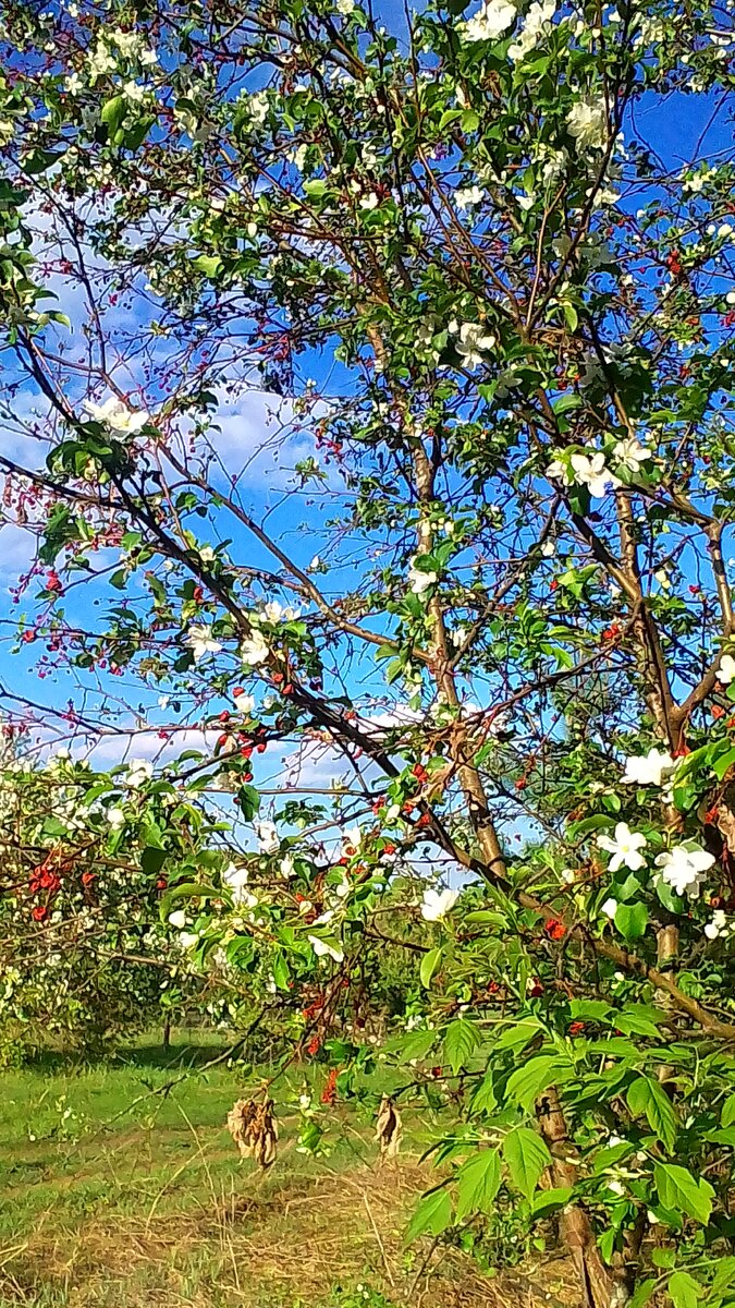 Фото  автора  Ильченко Елены