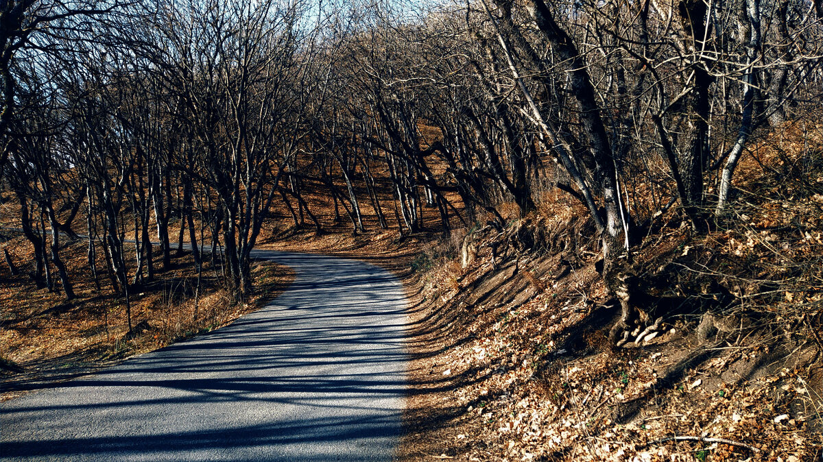окружная дорога вокруг бештау