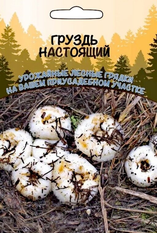 Мицелий в пакетиках. Хороши соленые грузди. 