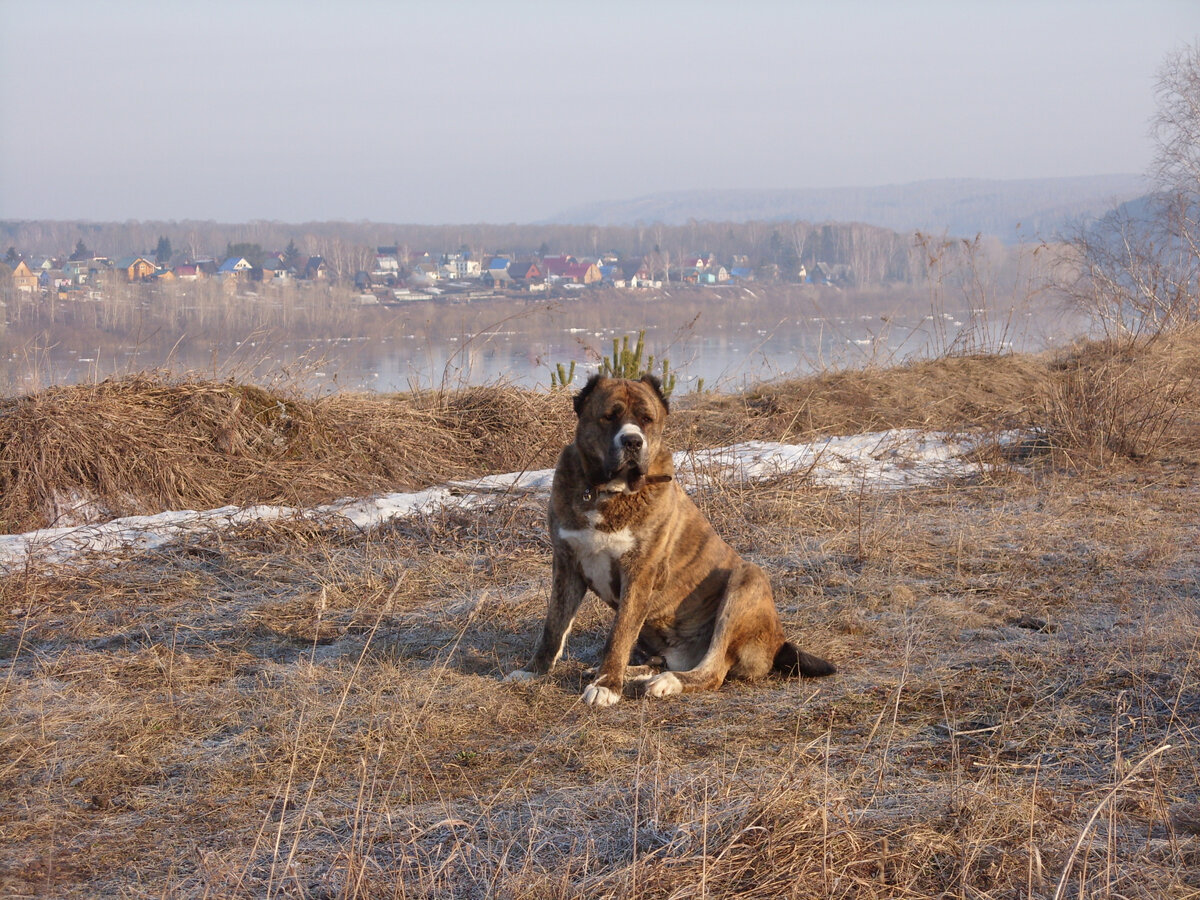 Здесь и далее фото автора