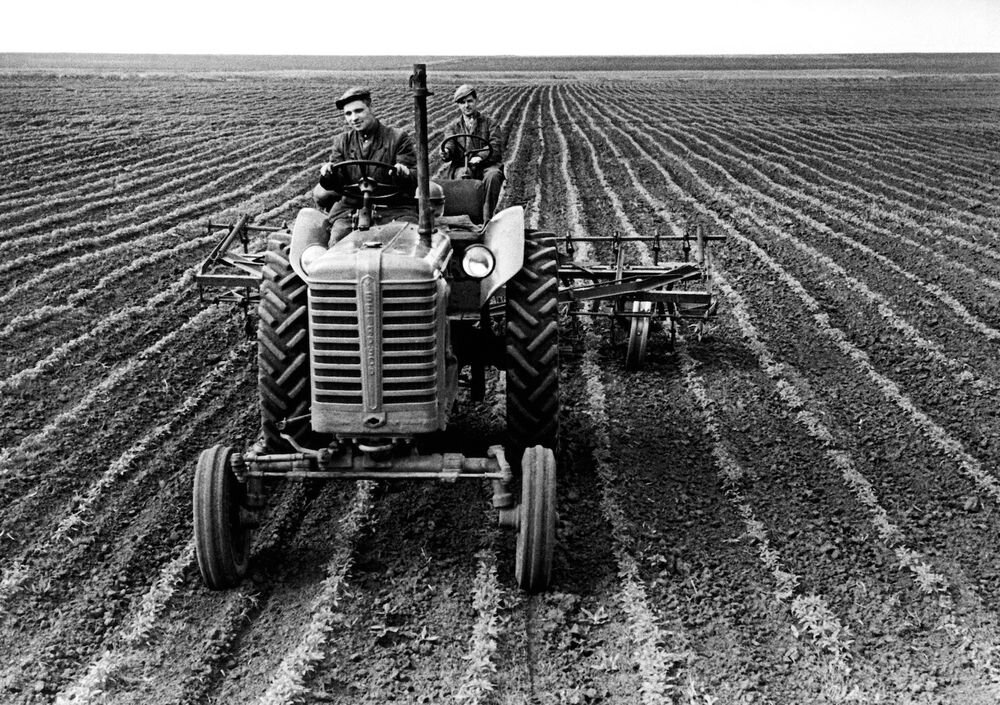 Источник: https://yandex.ru/images