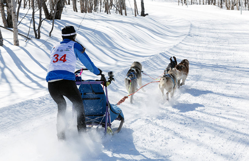 Наглядный пример правильного положения для новичков...