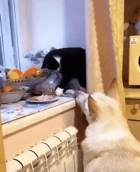 Нажми на картинку, чтобы посмотреть видео. Источник: Ютуб.