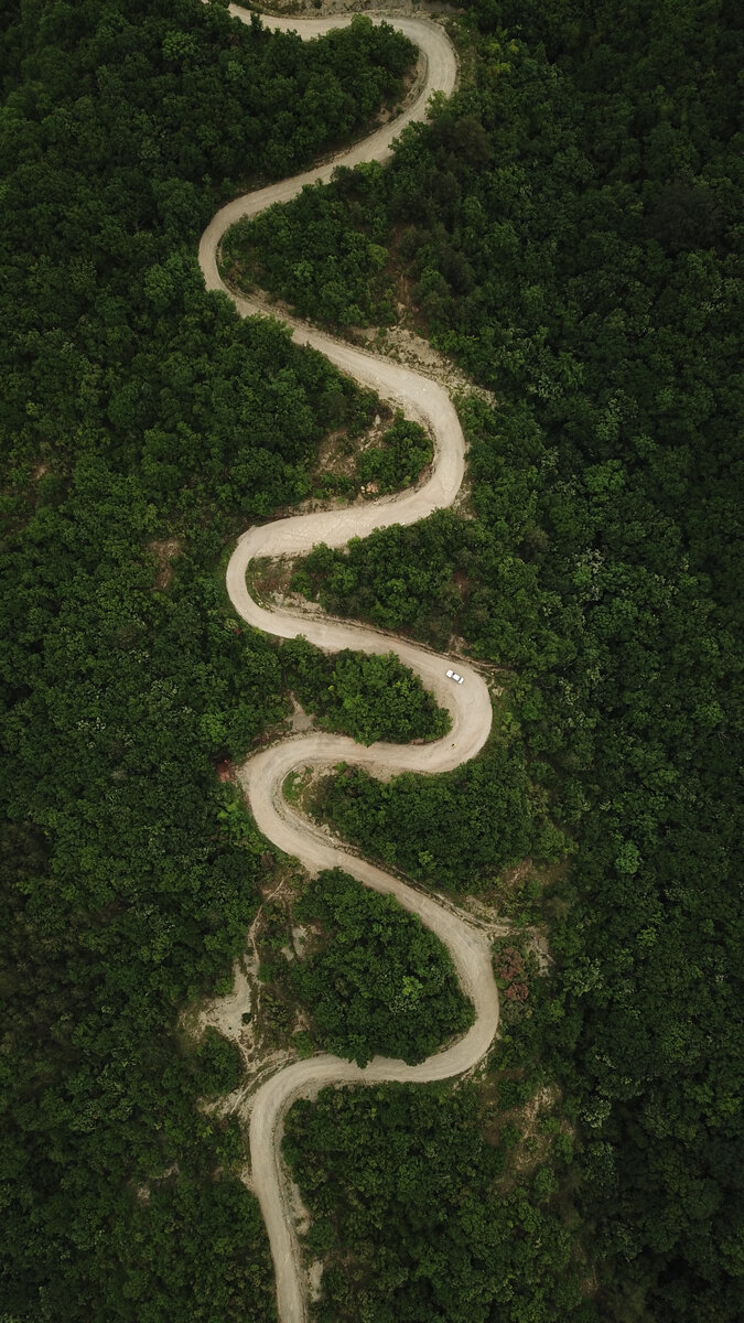 Яндекс-фото