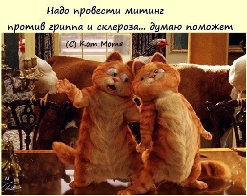 Источник    catmotya.blogspot.com/