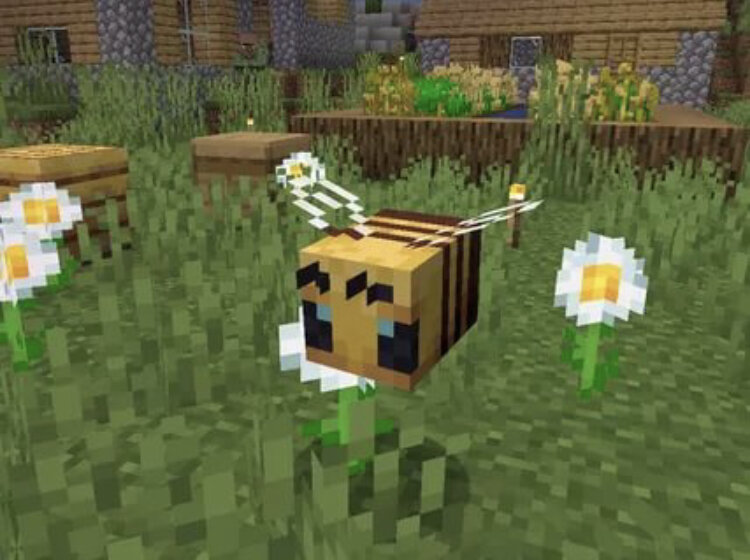 Пчела в Minecraft 🐝
