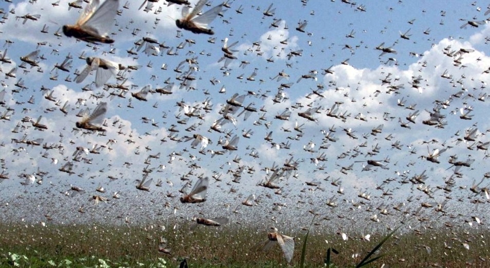 Источник: https://inbusiness.kz