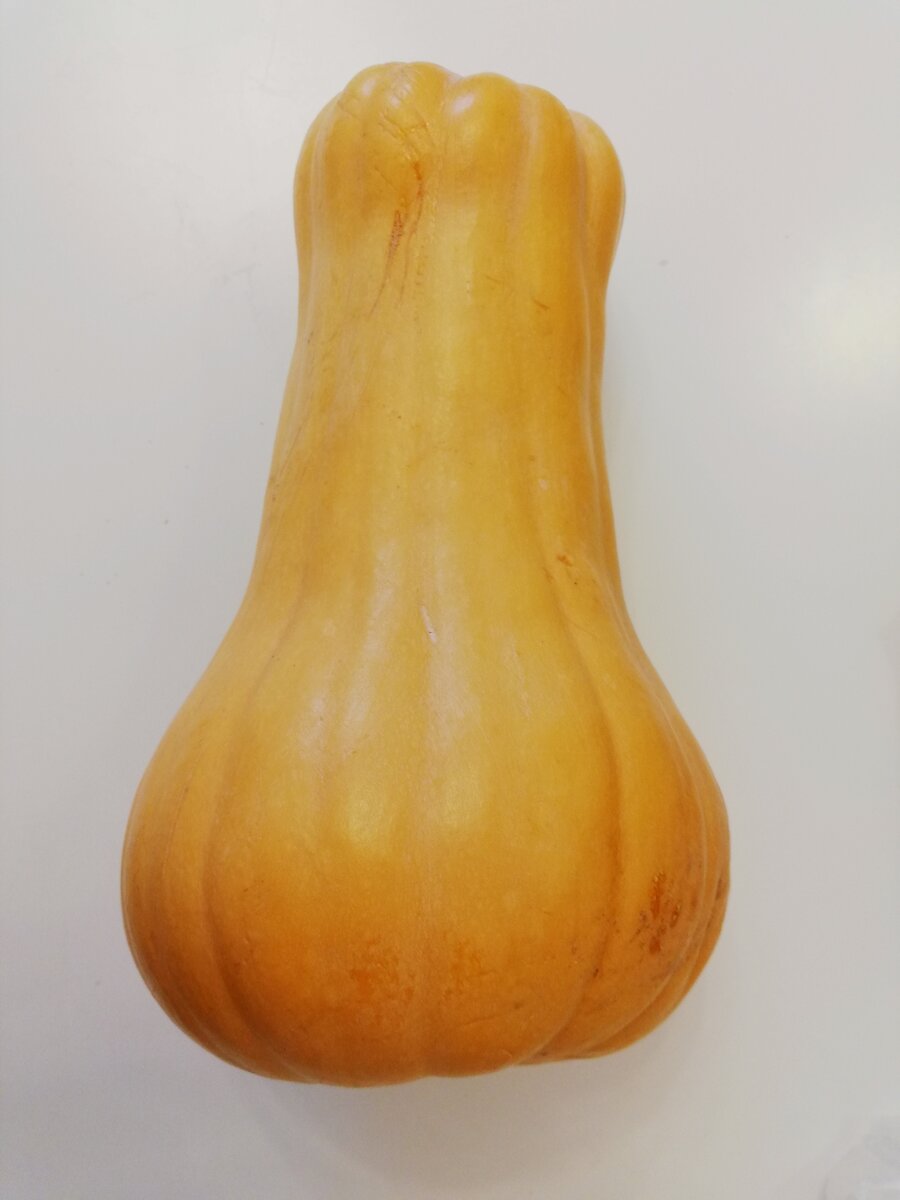 Тыква. Фото автора.