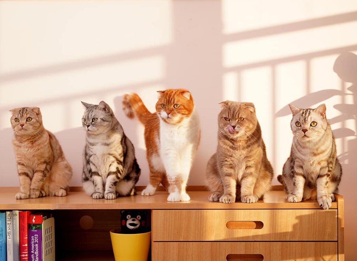 Фото из инстаграма @surinoel