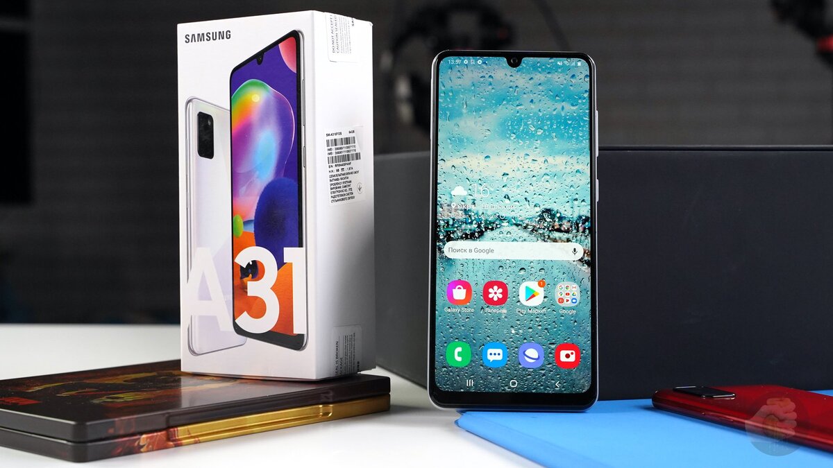 Фото: Александр Побыванец / Wylsacom Media