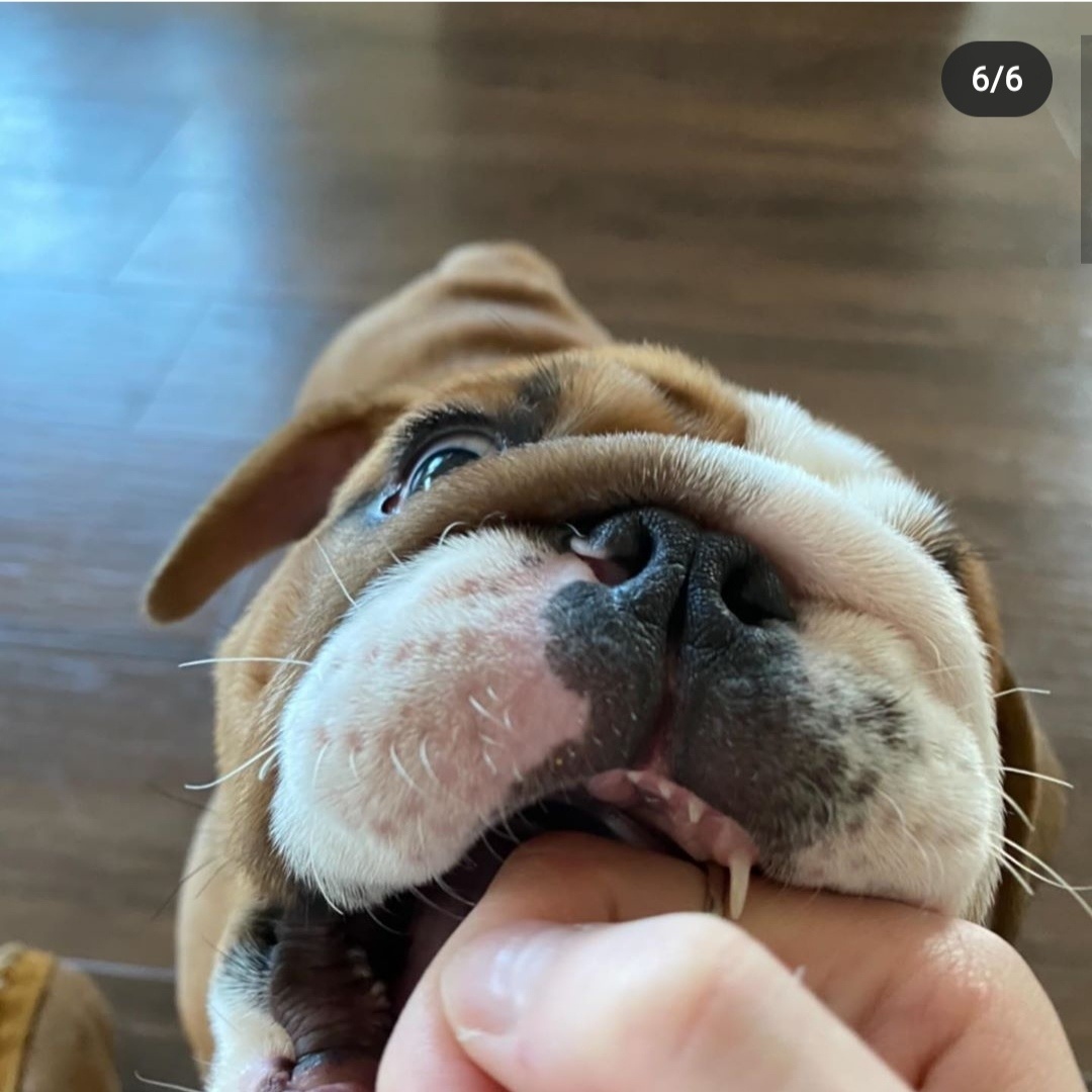 Это реально лезвия!