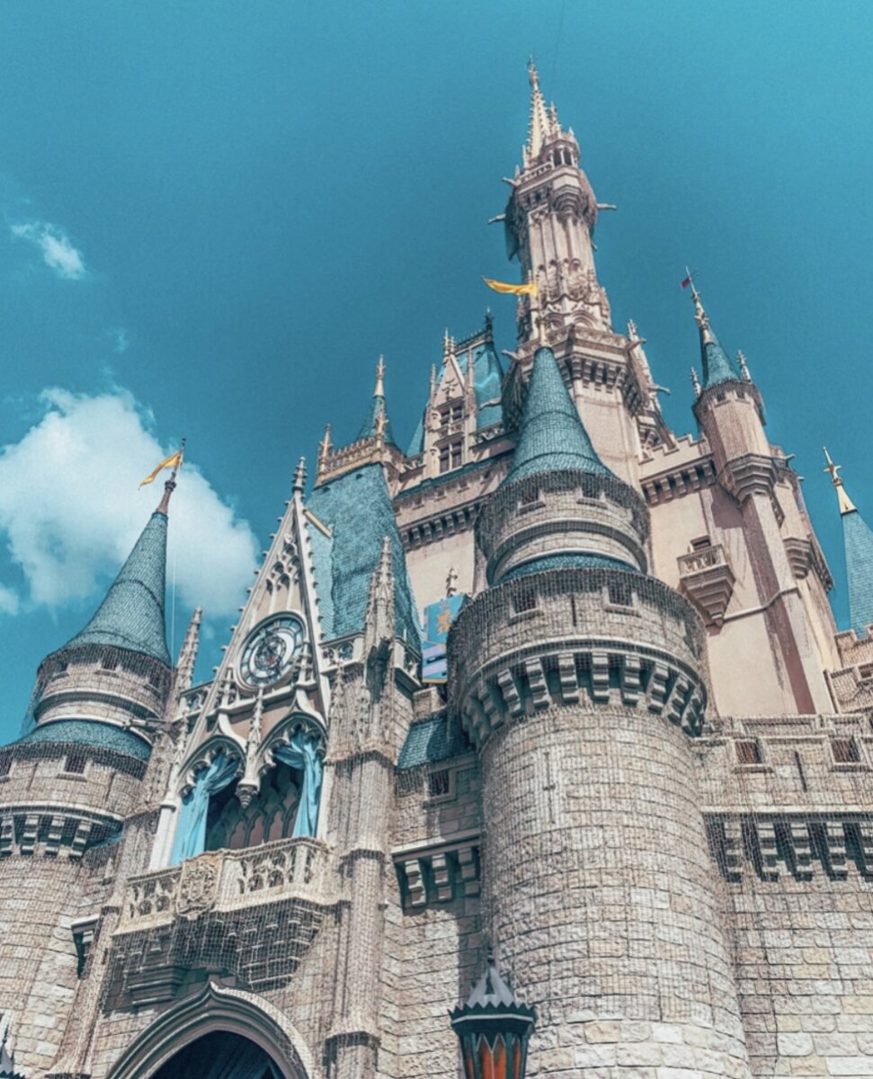 https://images.unsplash.com/photo-1578089815509-ed664d5b66d3?ixlib=rb-1.2.1&q=80&fm=jpg&crop=entropy&cs=tinysrgb&dl=lo-sarno-OGLNAtOuK5E-unsplash.jpg