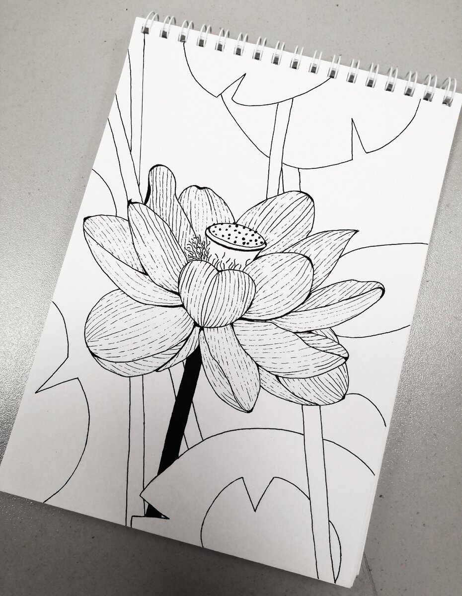 Скетч-иллюстрация Лотос