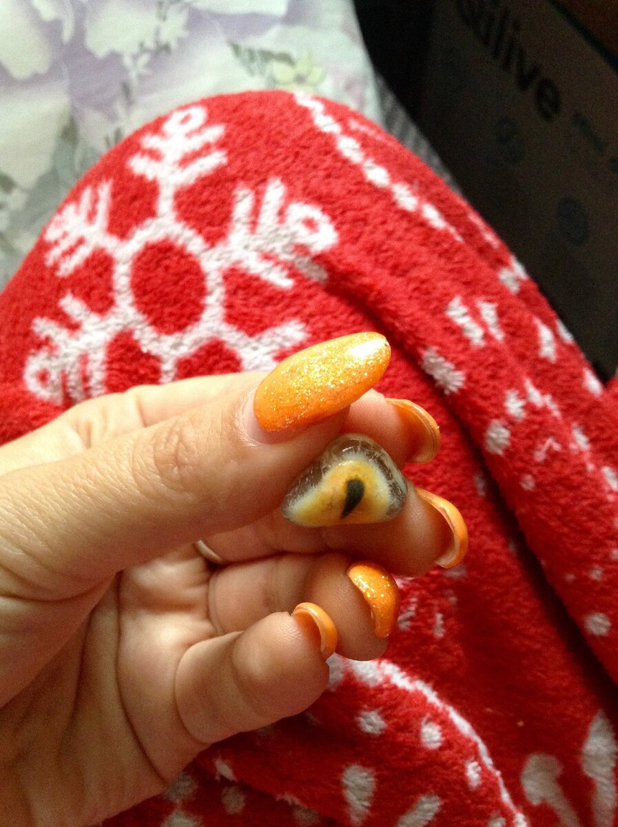 P.S. Этот камень я нашла на берегу моря ,когда думала о Звере . 