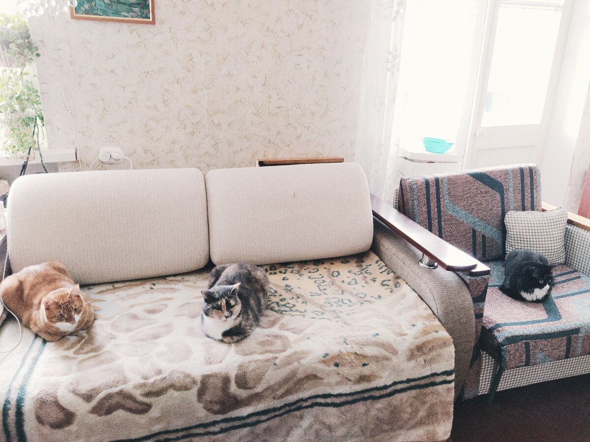 Бригада в сборе.