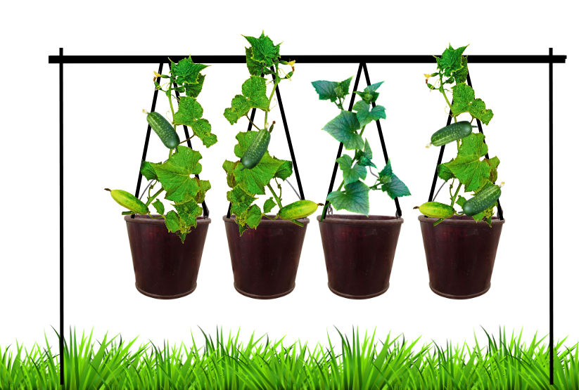 Подвесная грядка. Схема. Коллаж автора