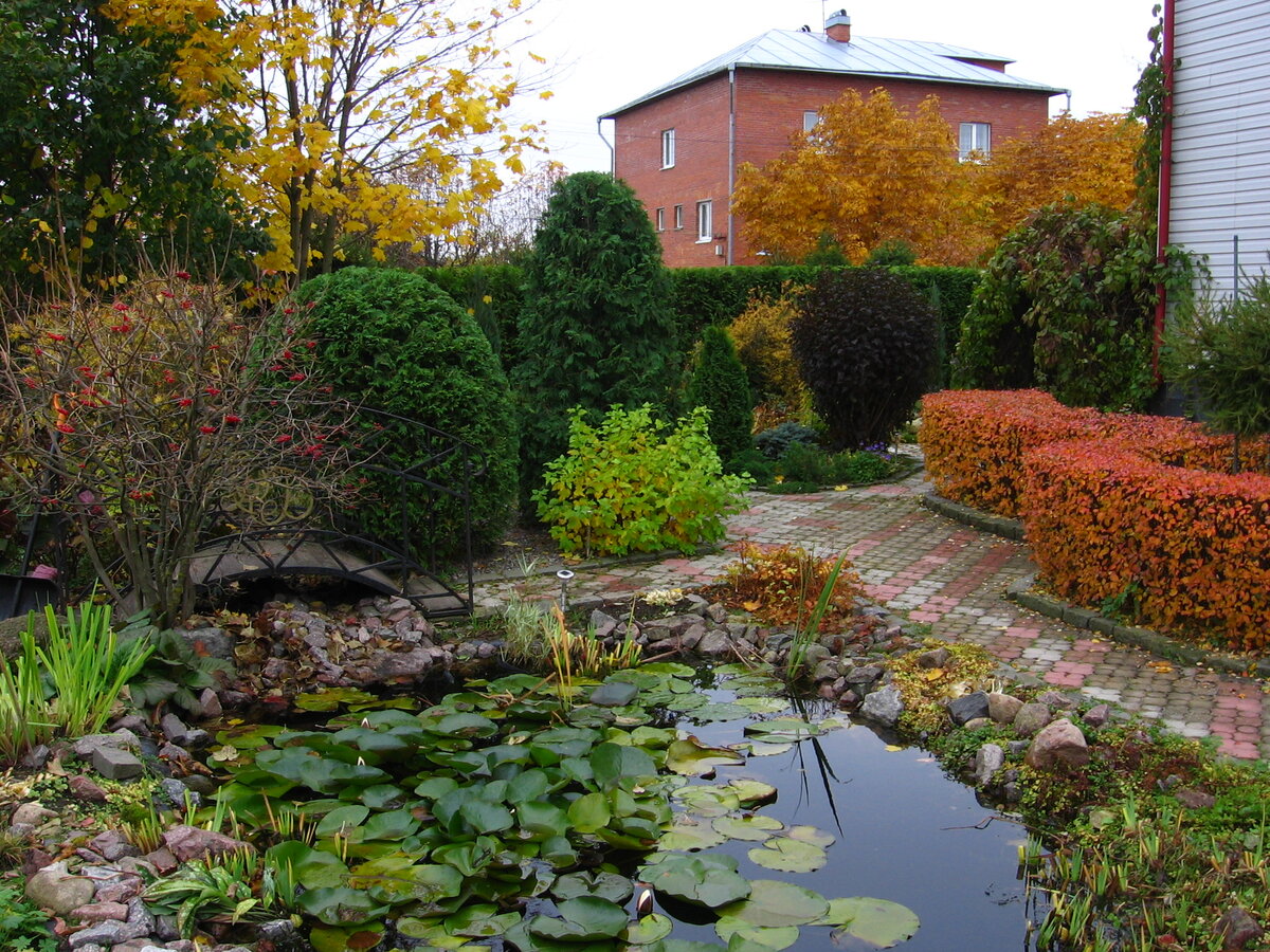 Различные топиарные формы в саду