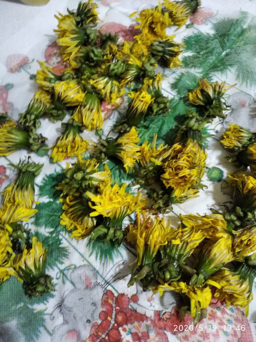 Вымоченные одуванчики выложила просохнуть на бумажные салфетки.