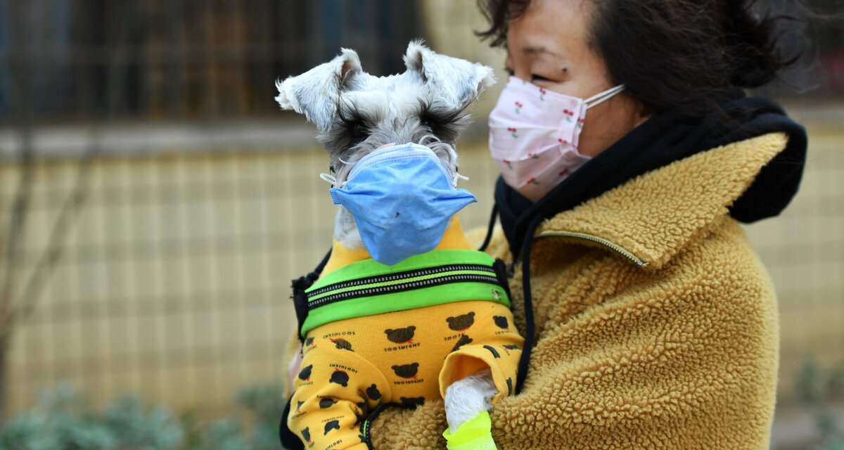 фото из я.картинки