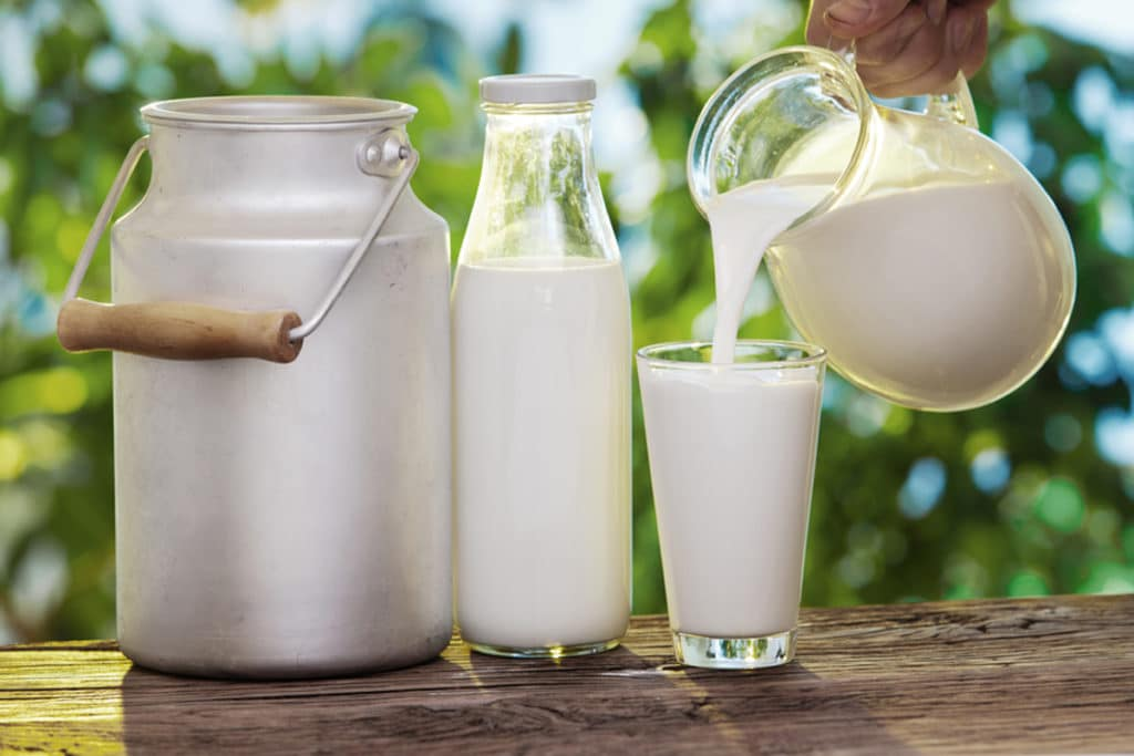 Масло, творог, молоко: как проверить их качество?