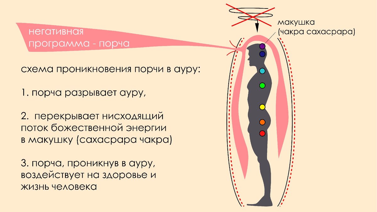 Схема зрения человека фото