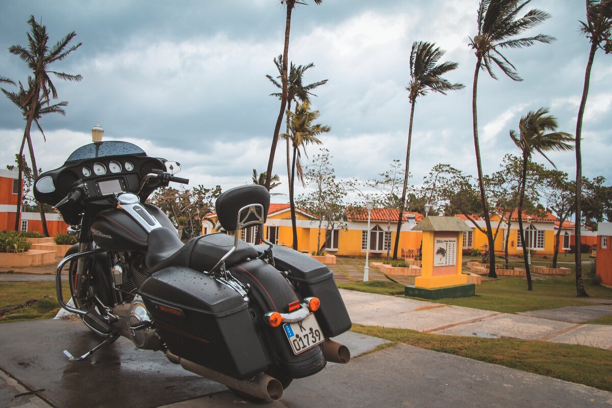 Пальмы гнутся под натиском ветра