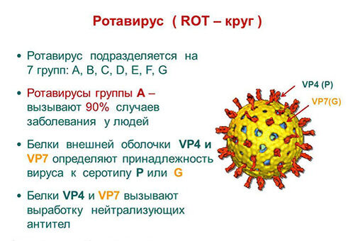 Ротавирусная инфекция, лечение | H-Clinic